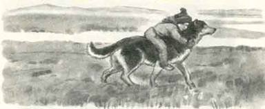 Как Алёшка жил на Севере - i_008.jpg