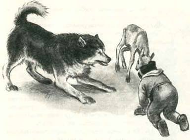 Как Алёшка жил на Севере - i_012.jpg