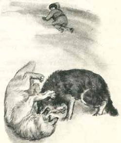 Как Алёшка жил на Севере - i_013.jpg