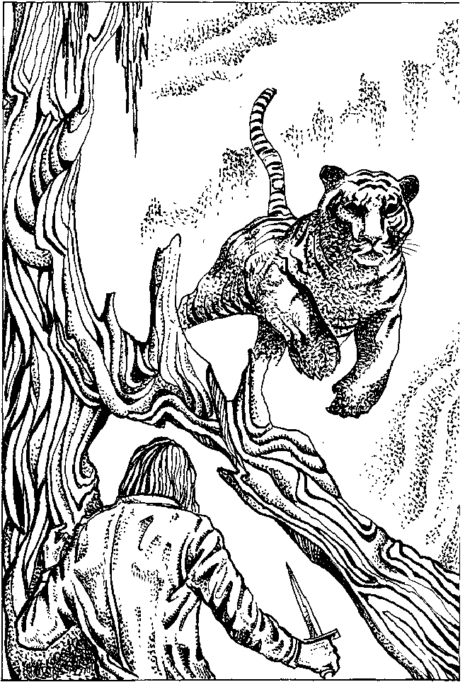 Фата-Моргана 9 (Фантастические рассказы и повести) - i_005.png