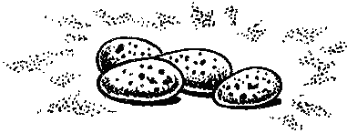 Фата-Моргана 9 (Фантастические рассказы и повести) - i_016.png