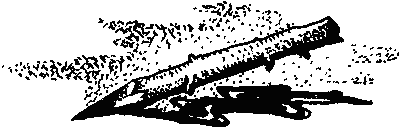 Фата-Моргана 9 (Фантастические рассказы и повести) - i_024.png