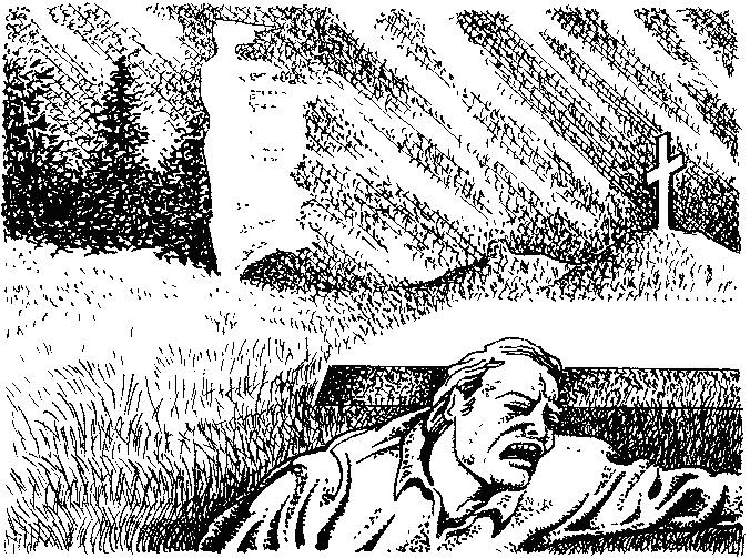 Фата-Моргана 9 (Фантастические рассказы и повести) - i_029.png