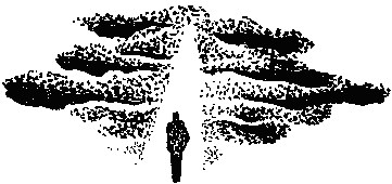 Фата-Моргана 9 (Фантастические рассказы и повести) - i_034.png