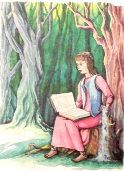 Дочь Гингемы  (иллюстр. М. Мисуно) - i_033.jpg