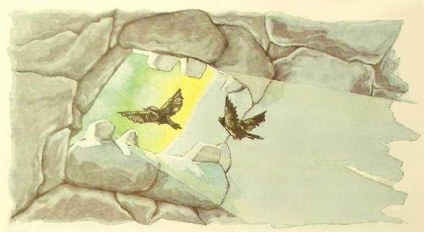 Дочь Гингемы  (иллюстр. М. Мисуно) - i_050.jpg