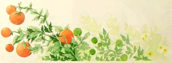 Дочь Гингемы  (иллюстр. М. Мисуно) - i_024.jpg