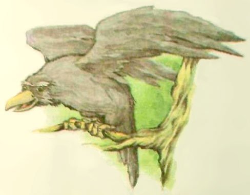 Дочь Гингемы  (иллюстр. М. Мисуно) - i_039.jpg