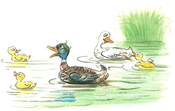 Чем помочь медведю? (рис. Сутеева) - i_004.jpg