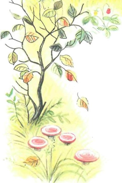 Чем помочь медведю? (рис. Сутеева) - i_011.jpg