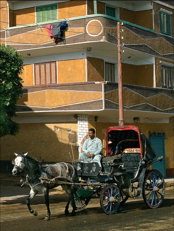 Цифровая фотография в простых примерах - _177.jpg