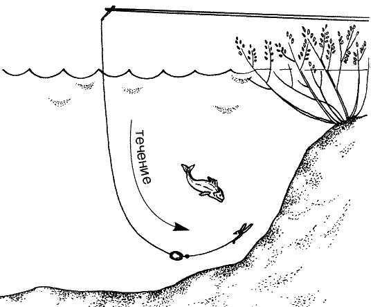 Большая книга рыболова–любителя (с цветной вкладкой) - _015.png