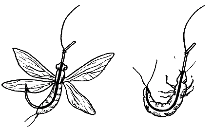 Большая книга рыболова–любителя (с цветной вкладкой) - _085.png