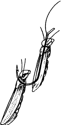 Большая книга рыболова–любителя (с цветной вкладкой) - _086.png