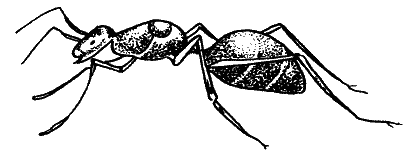 Большая книга рыболова–любителя (с цветной вкладкой) - _090.png
