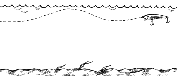 Большая книга рыболова–любителя (с цветной вкладкой) - _199.png