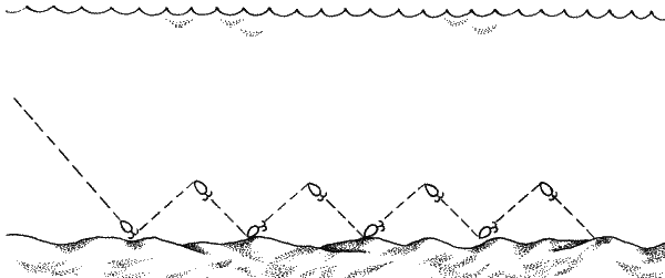 Большая книга рыболова–любителя (с цветной вкладкой) - _209.png
