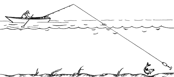 Большая книга рыболова–любителя (с цветной вкладкой) - _219.png