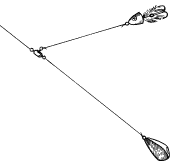 Большая книга рыболова–любителя (с цветной вкладкой) - _221.png