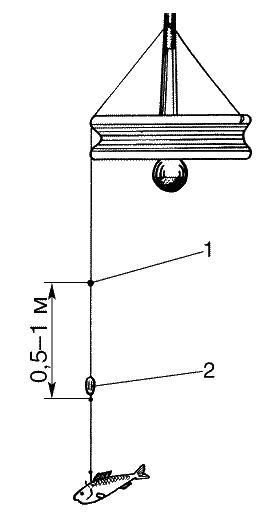 Большая книга рыболова–любителя (с цветной вкладкой) - _229.png