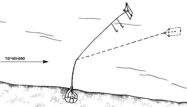 Большая книга рыболова–любителя (с цветной вкладкой) - _235.png