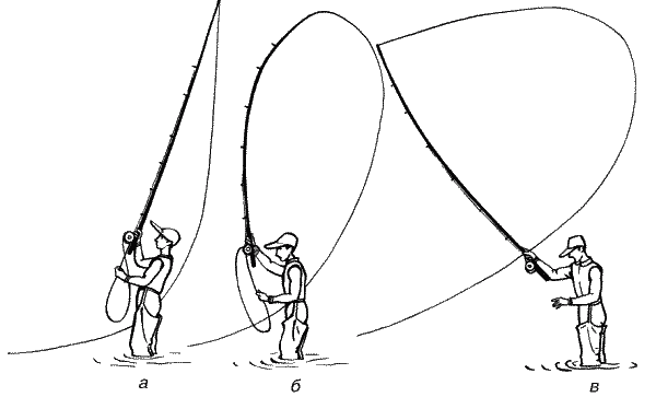 Большая книга рыболова–любителя (с цветной вкладкой) - _243.png