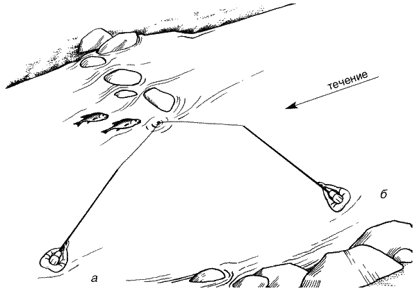 Большая книга рыболова–любителя (с цветной вкладкой) - _245.png