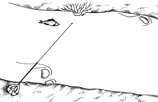 Большая книга рыболова–любителя (с цветной вкладкой) - _251.png