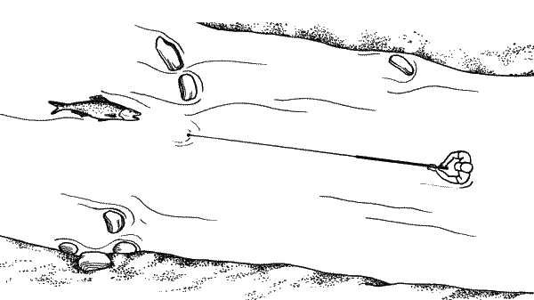 Большая книга рыболова–любителя (с цветной вкладкой) - _253.png