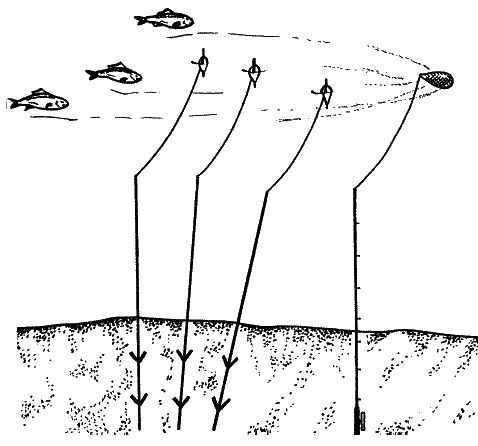 Большая книга рыболова–любителя (с цветной вкладкой) - _260.png