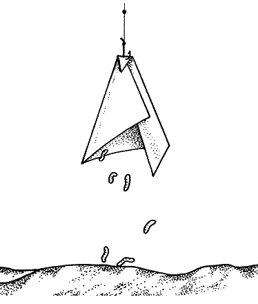 Большая книга рыболова–любителя (с цветной вкладкой) - _261.png