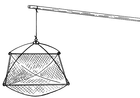 Большая книга рыболова–любителя (с цветной вкладкой) - _267.png