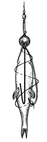 Большая книга рыболова–любителя (с цветной вкладкой) - _336.png