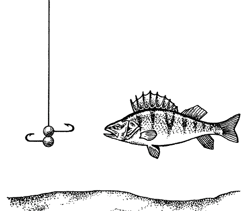 Большая книга рыболова–любителя (с цветной вкладкой) - _368.png