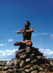 Книга Живучий заяц