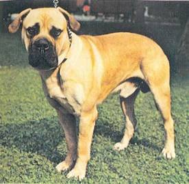 Энциклопедия собаки. Рабочие собаки - i_064.jpg