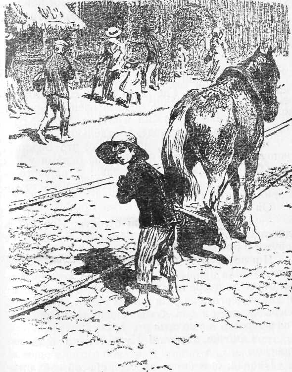 Неугасимый свет - i_006.jpg