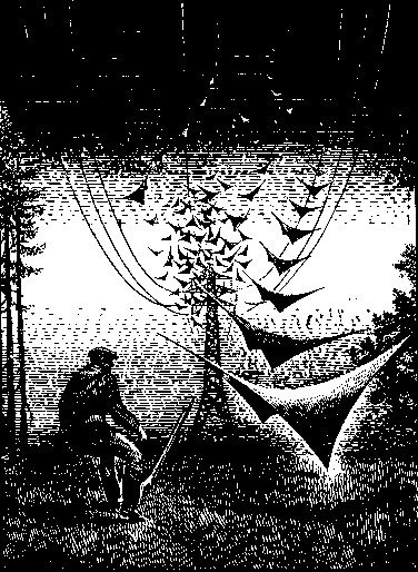 Снега Олимпа (сборник) - Bilenkin_Snega2.jpg