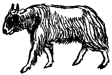 Следы невиданных зверей - i_09.png