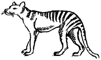 Следы невиданных зверей - i_25.png