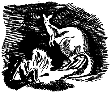 Следы невиданных зверей - i_30.png