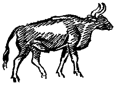 Следы невиданных зверей - i_34.png