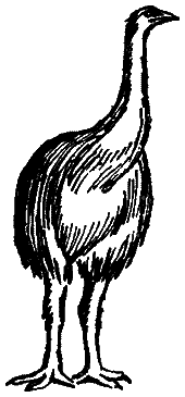 Следы невиданных зверей - i_38.png