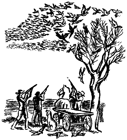 Следы невиданных зверей - i_42.png