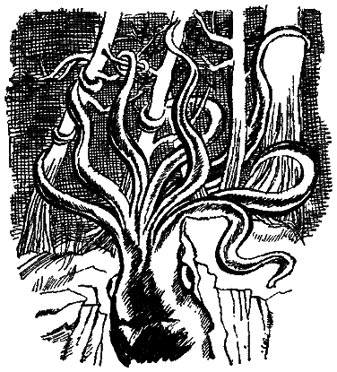 Следы невиданных зверей - i_47.png