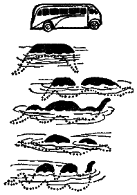 Следы невиданных зверей - i_56.png