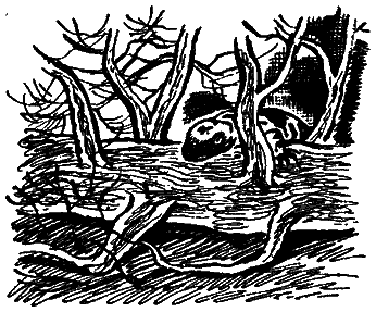 Следы невиданных зверей - i_60.png