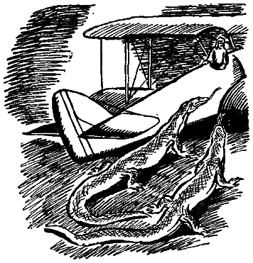 Следы невиданных зверей - i_61.png