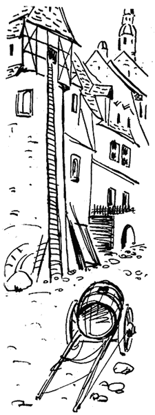 Необыкновенная история о чудесной свирели и зеленом петушке - i_007.png