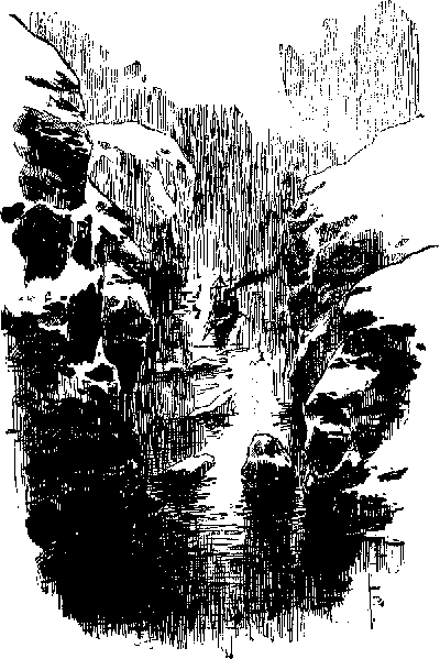 «ЛАХТАК» - laht1120_.png